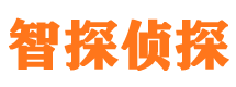 同仁市私家侦探